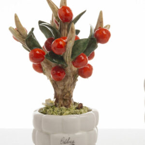 BONSAI ORANGE MEDIO