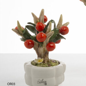BONSAI ORANGE PICCOLA