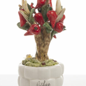 BONSAI PEPERONCINO MEDIO