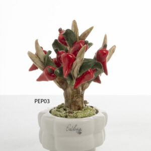 BONSAI PEPERONCINO PICCOLO