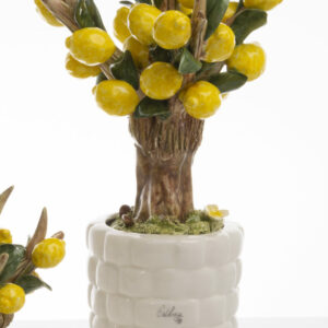 BONSAI LIMONE GRANDE