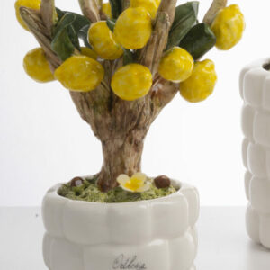 BONSAI LIMONE MEDIA