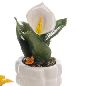 PIANTINA CALLA MIGNON