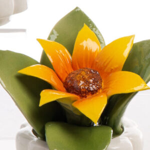 PIANTINA GIRASOLE MIGNON