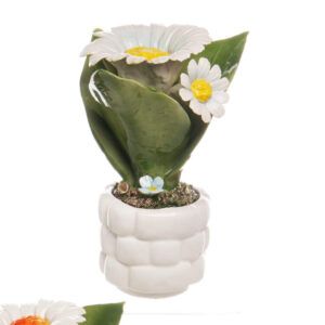 PIANTINA MARGHERITA MEDIA 2 FIORI